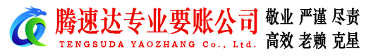 郧西腾速达清债公司